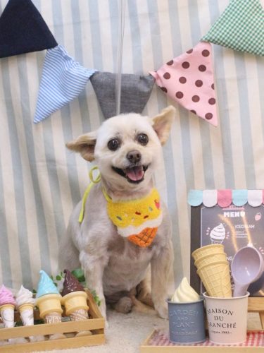 20250524ポンタくん